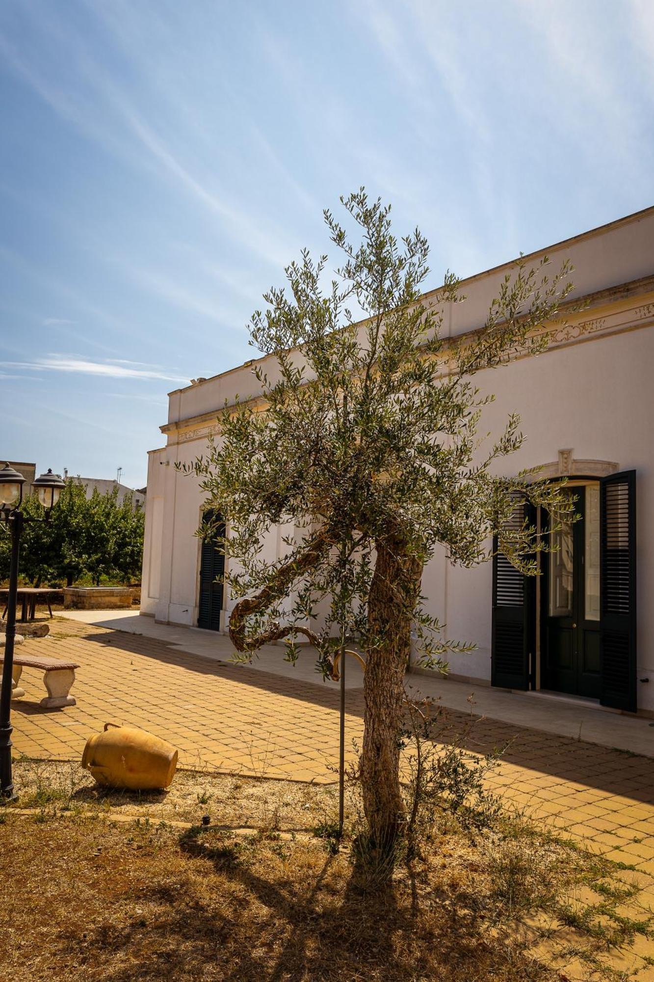 Affittacamere Giardino Delle Zie-Vicino Ospedale Cardinale Panico Tricase Luaran gambar